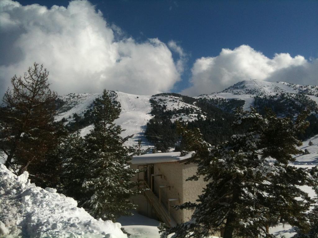 Apartment Face Aux Pistes Greolieres les Neiges Eksteriør bilde