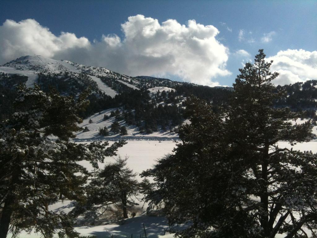 Apartment Face Aux Pistes Greolieres les Neiges Eksteriør bilde