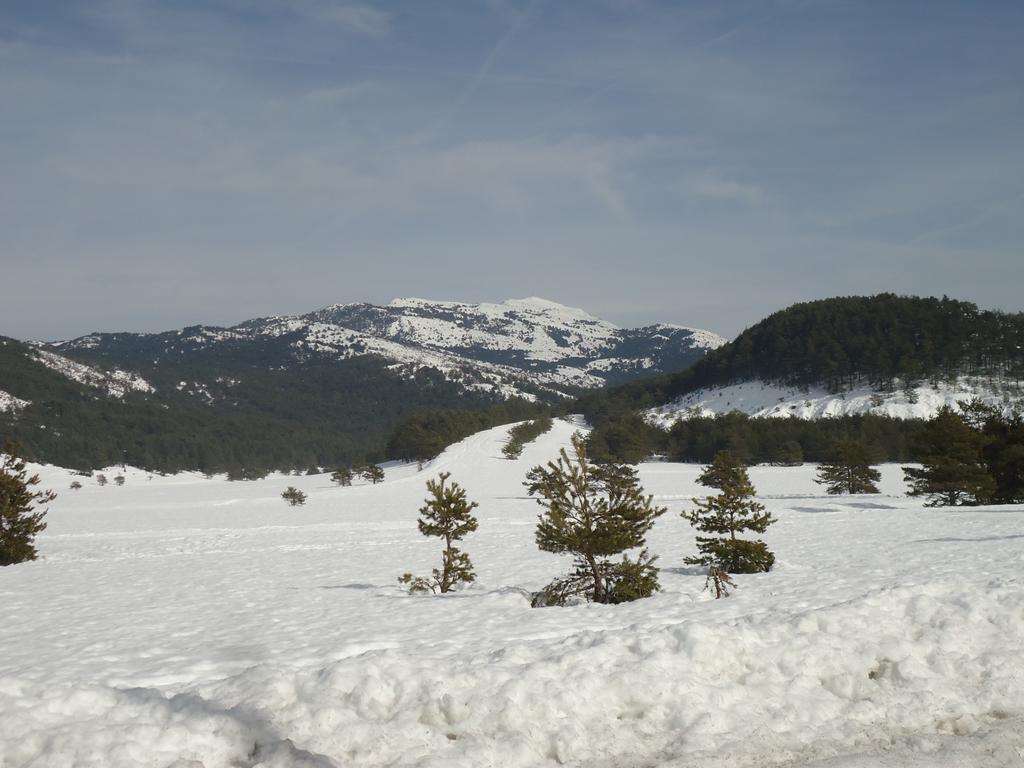 Apartment Face Aux Pistes Greolieres les Neiges Eksteriør bilde