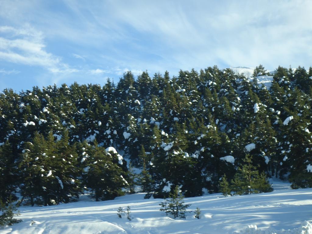 Apartment Face Aux Pistes Greolieres les Neiges Eksteriør bilde
