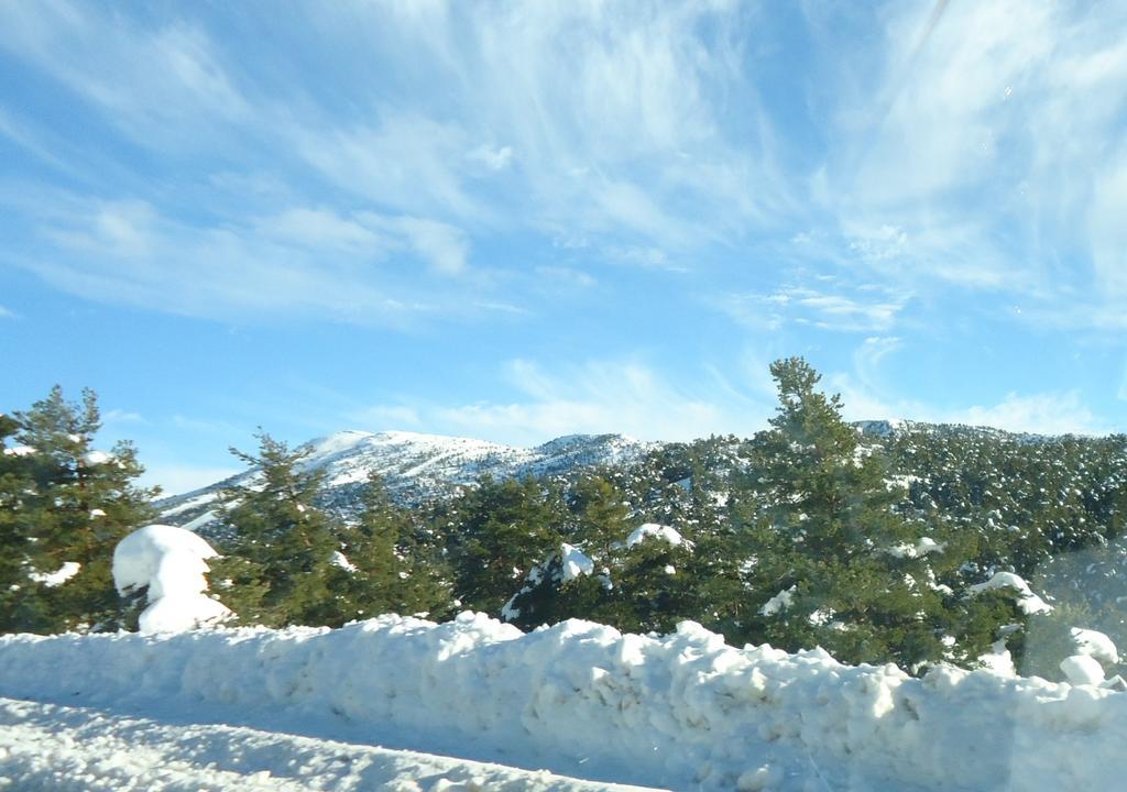 Apartment Face Aux Pistes Greolieres les Neiges Eksteriør bilde