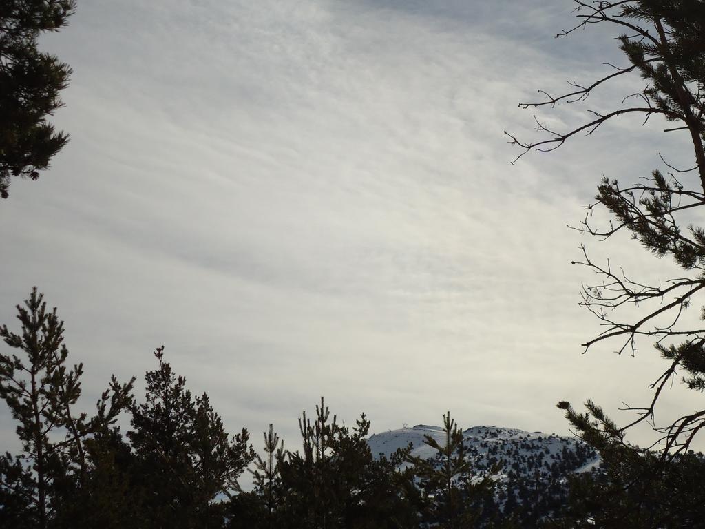 Apartment Face Aux Pistes Greolieres les Neiges Eksteriør bilde