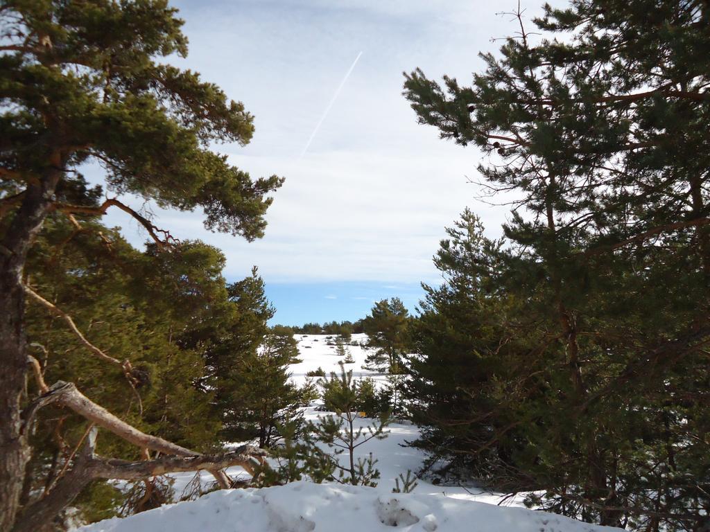 Apartment Face Aux Pistes Greolieres les Neiges Eksteriør bilde