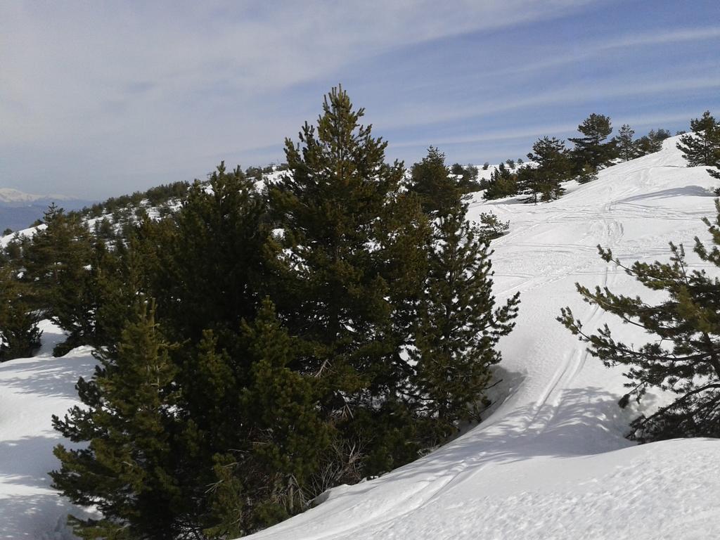 Apartment Face Aux Pistes Greolieres les Neiges Eksteriør bilde
