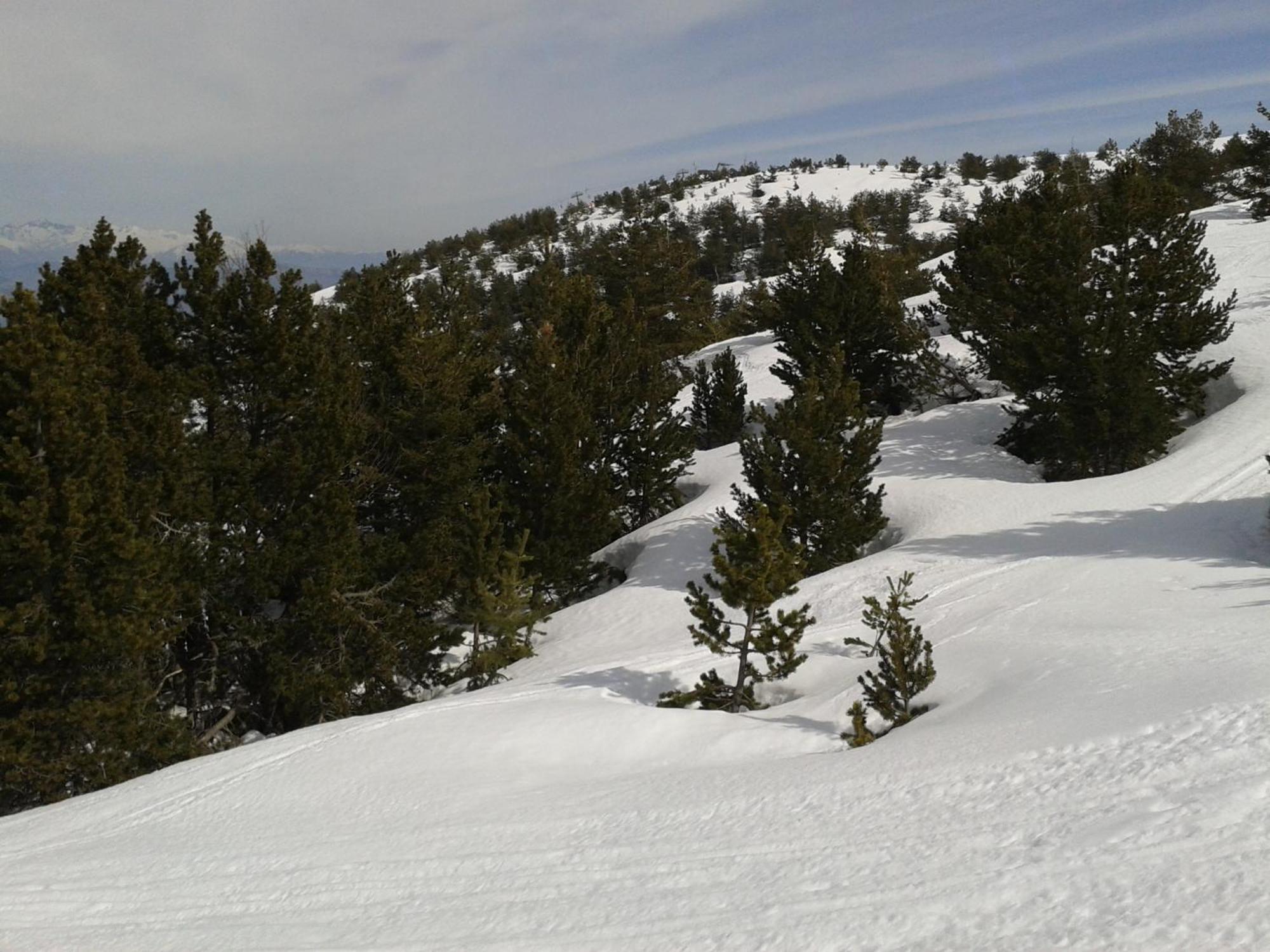 Apartment Face Aux Pistes Greolieres les Neiges Eksteriør bilde