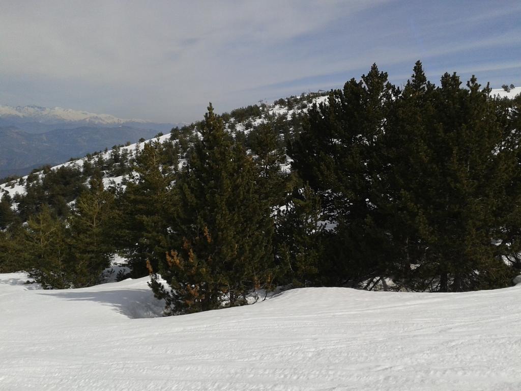 Apartment Face Aux Pistes Greolieres les Neiges Eksteriør bilde