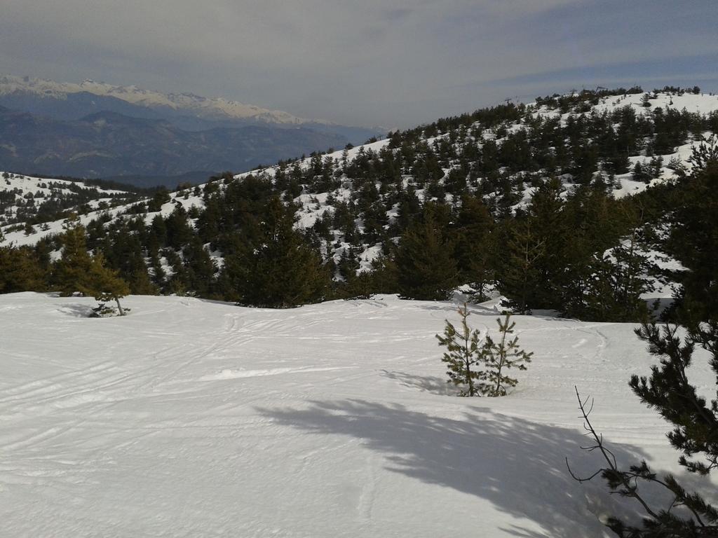 Apartment Face Aux Pistes Greolieres les Neiges Eksteriør bilde