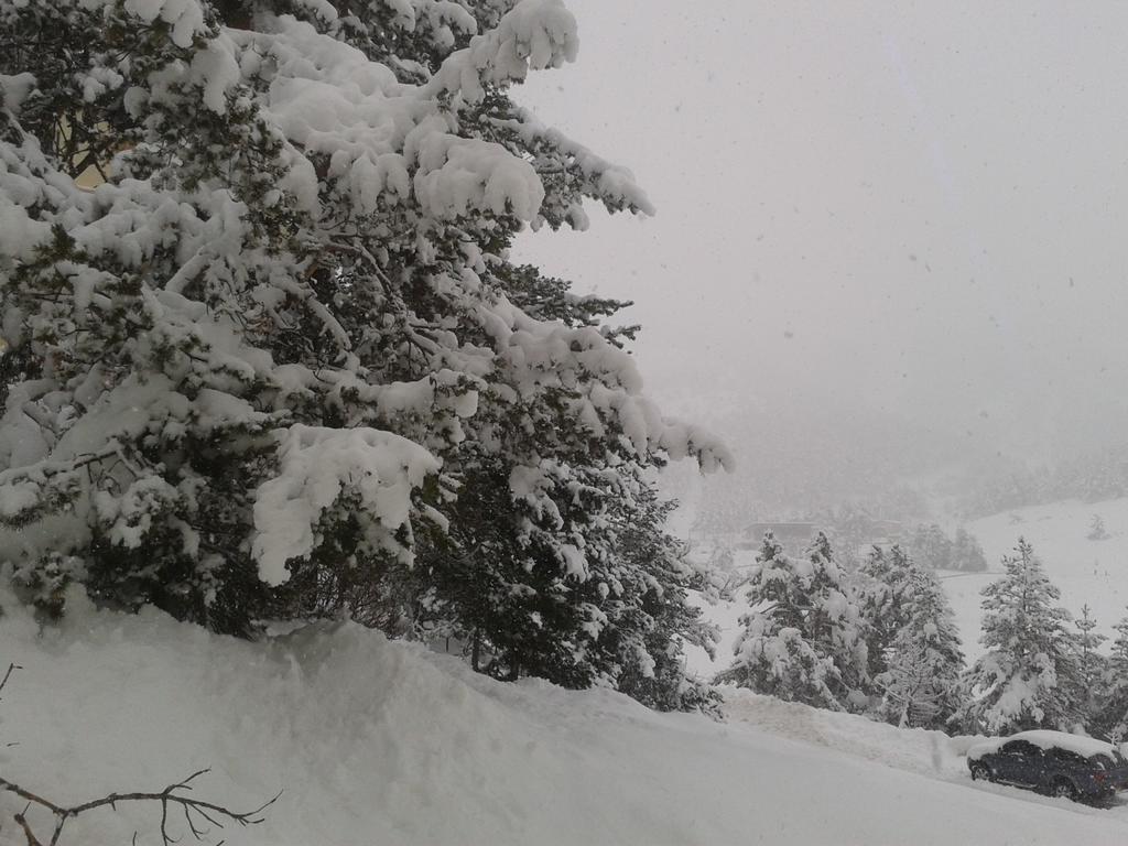 Apartment Face Aux Pistes Greolieres les Neiges Eksteriør bilde