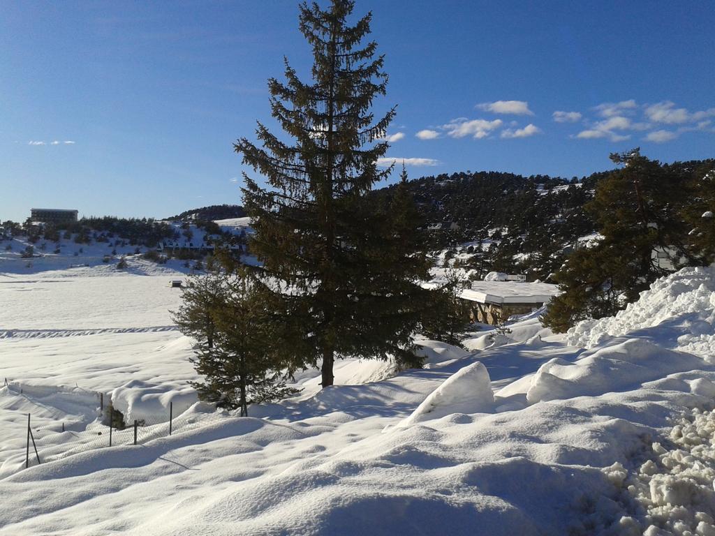 Apartment Face Aux Pistes Greolieres les Neiges Eksteriør bilde